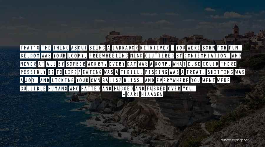 Fussed At Quotes By Carl Hiaasen Fussed At Quotes By Carl Hiaasen
