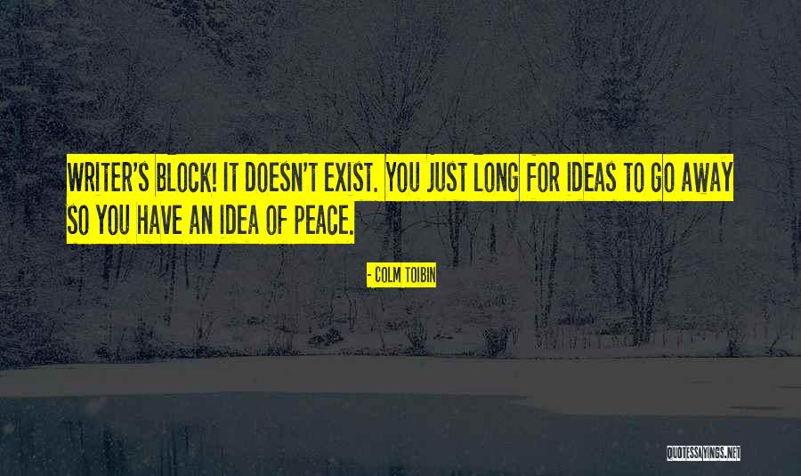 Fussings Quotes By Colm Toibin Fussings Quotes By Colm Toibin