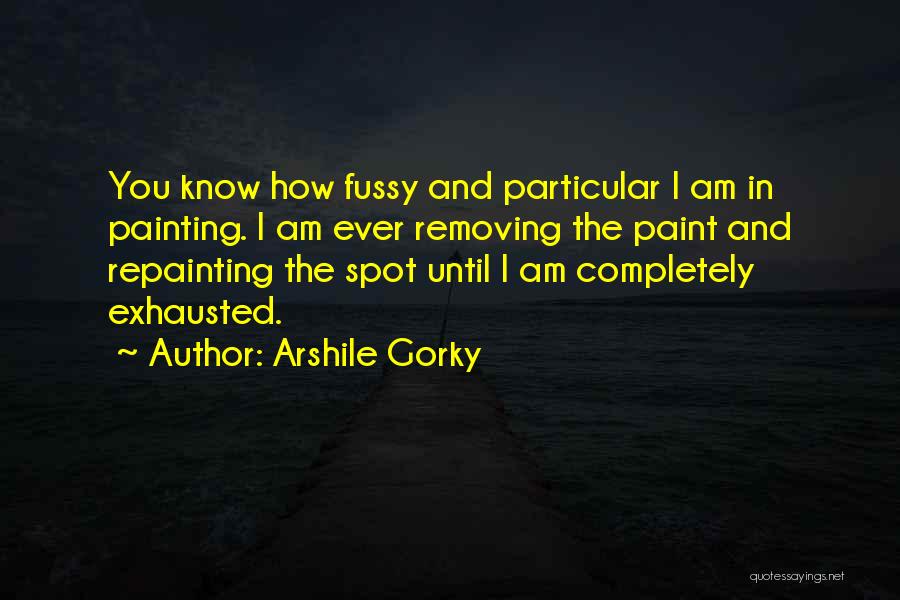 Fussy Quotes By Arshile Gorky