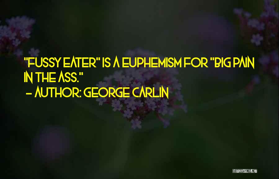 Fussy Quotes By George Carlin