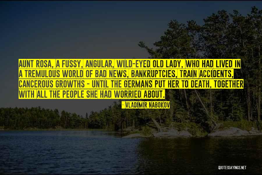 Fussy Quotes By Vladimir Nabokov