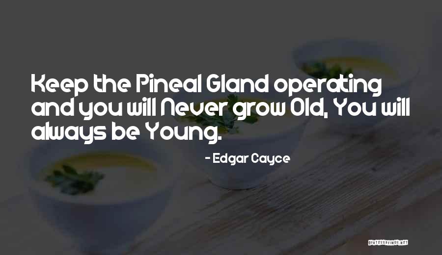 Fustella Quotes By Edgar Cayce Fustella Quotes By Edgar Cayce