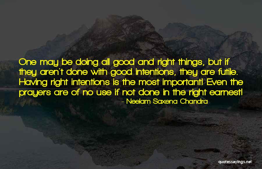 Futile Things Quotes By Neelam Saxena Chandra