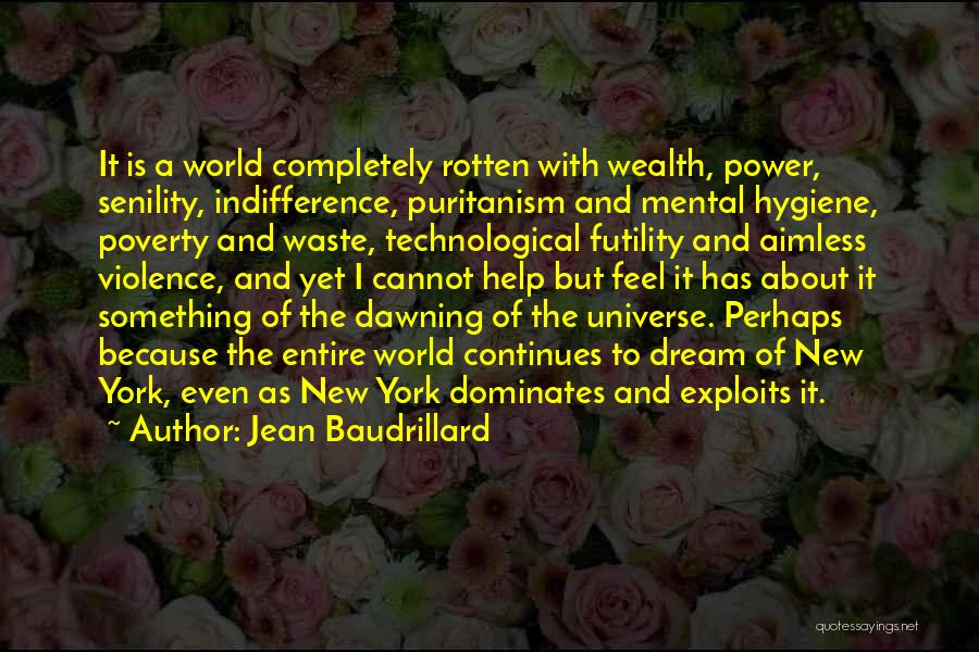 Futility Of Wealth Quotes By Jean Baudrillard