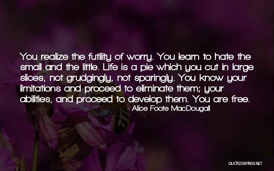 Futility Of Worry Quotes By Alice Foote MacDougall Futility Of Worry Quotes By Alice Foote MacDougall