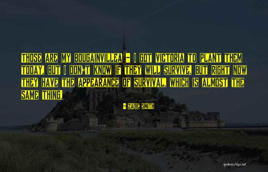 Futral Motorsports Quotes By Zadie Smith Futral Motorsports Quotes By Zadie Smith