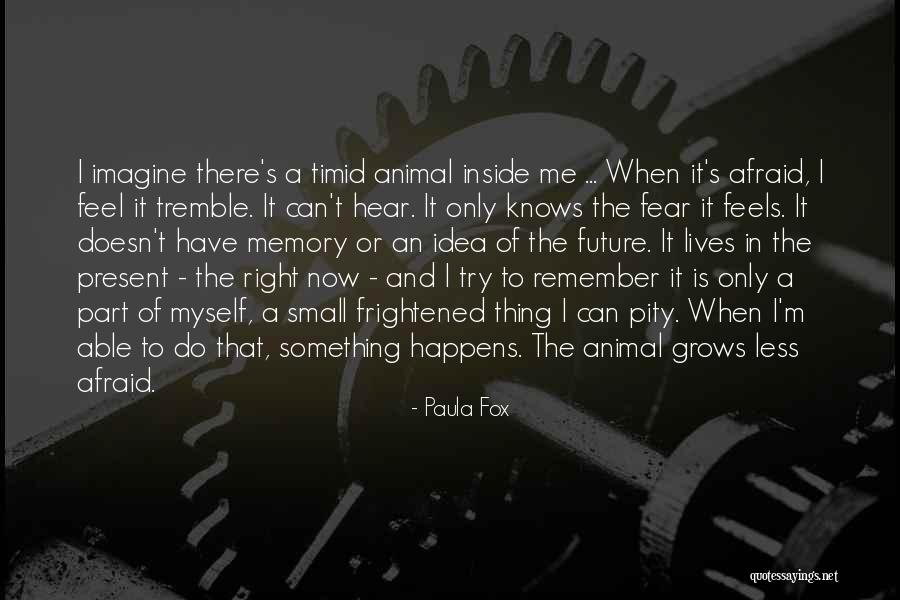 Future Afraid Quotes By Paula Fox Future Afraid Quotes By Paula Fox
