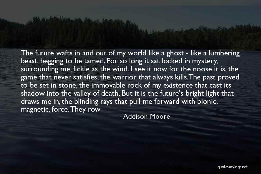 Future And Destiny Quotes By Addison Moore