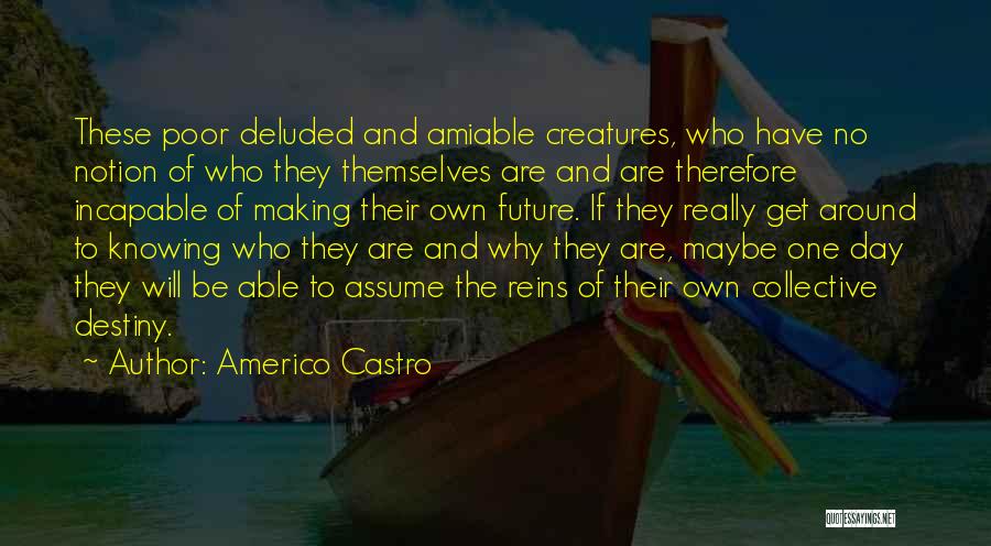 Future And Destiny Quotes By Americo Castro