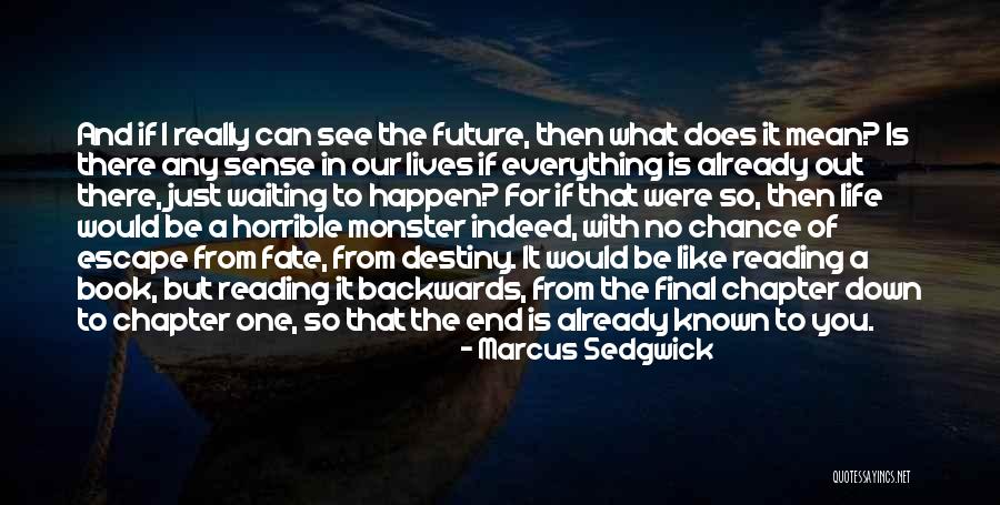 Future And Destiny Quotes By Marcus Sedgwick