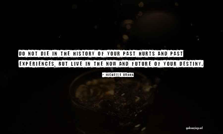 Future And Destiny Quotes By Michelle Obama Future And Destiny Quotes By Michelle Obama
