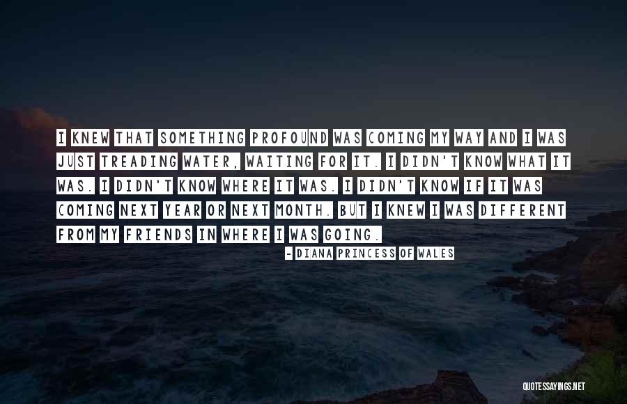 Future And Friends Quotes By Diana Princess Of Wales Future And Friends Quotes By Diana Princess Of Wales