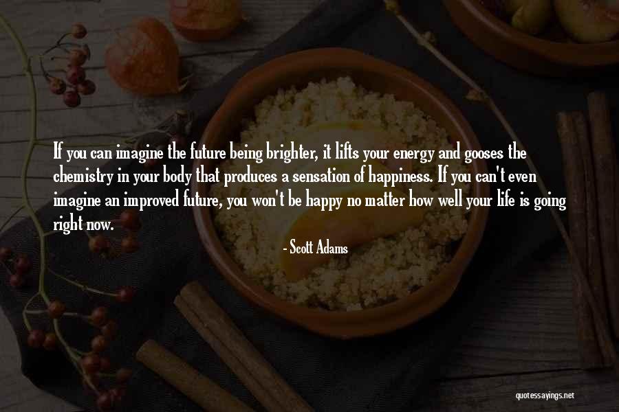 Future And Happiness Quotes By Scott Adams