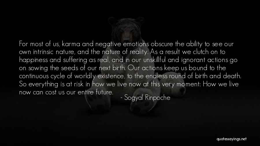 Future And Happiness Quotes By Sogyal Rinpoche