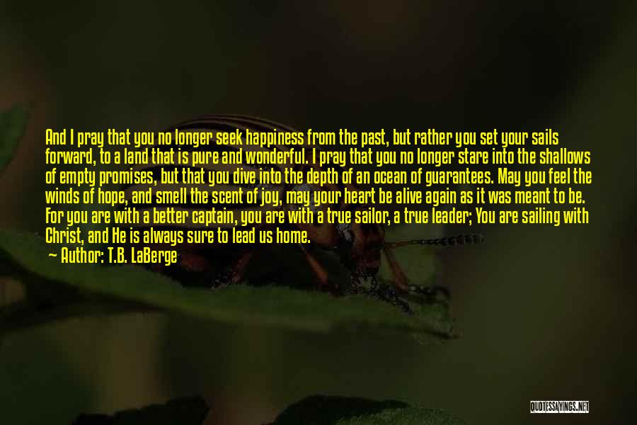 Future And Happiness Quotes By T.B. LaBerge