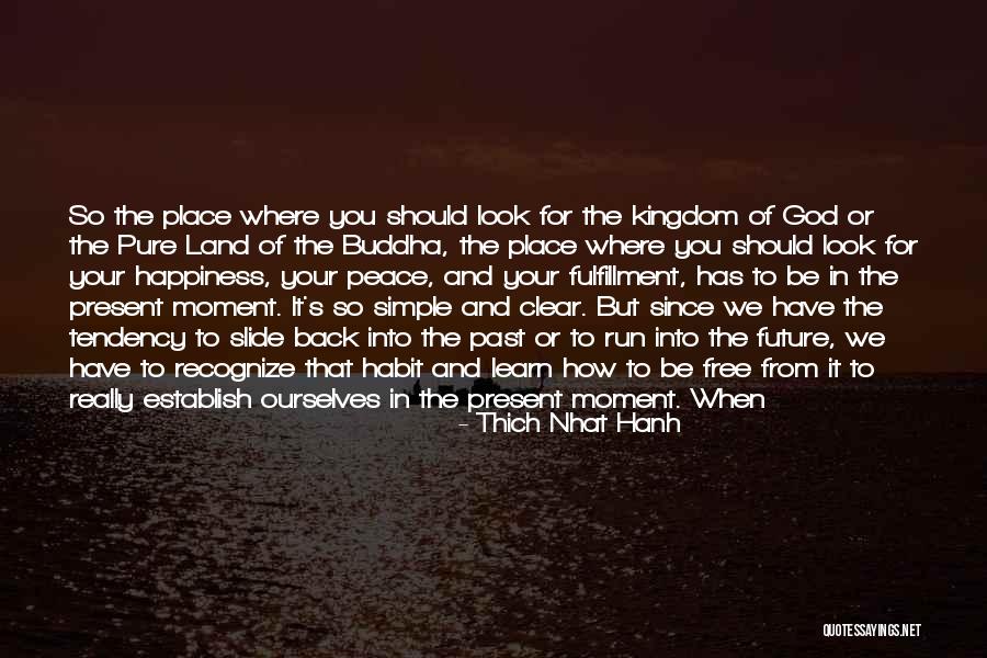 Future And Happiness Quotes By Thich Nhat Hanh Future And Happiness Quotes By Thich Nhat Hanh