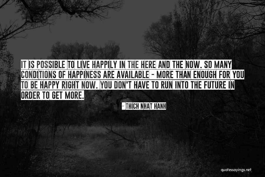 Future And Happiness Quotes By Thich Nhat Hanh