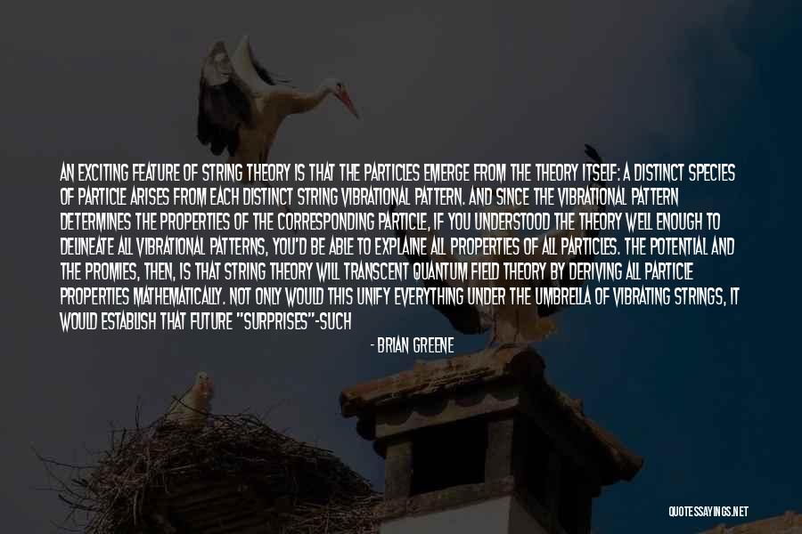 Future And Unknown Quotes By Brian Greene