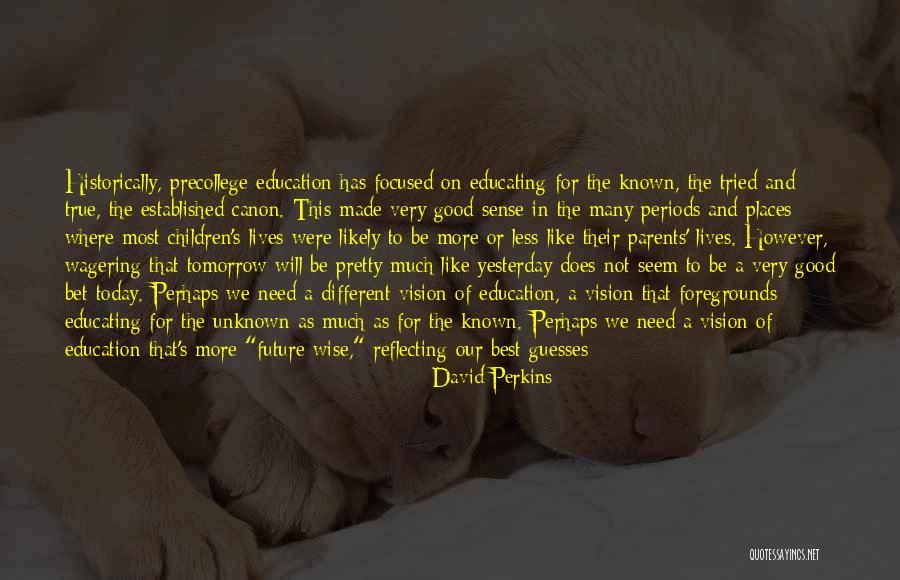 Future And Unknown Quotes By David Perkins