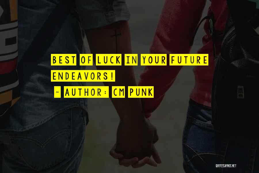 Future Endeavor Quotes By CM Punk