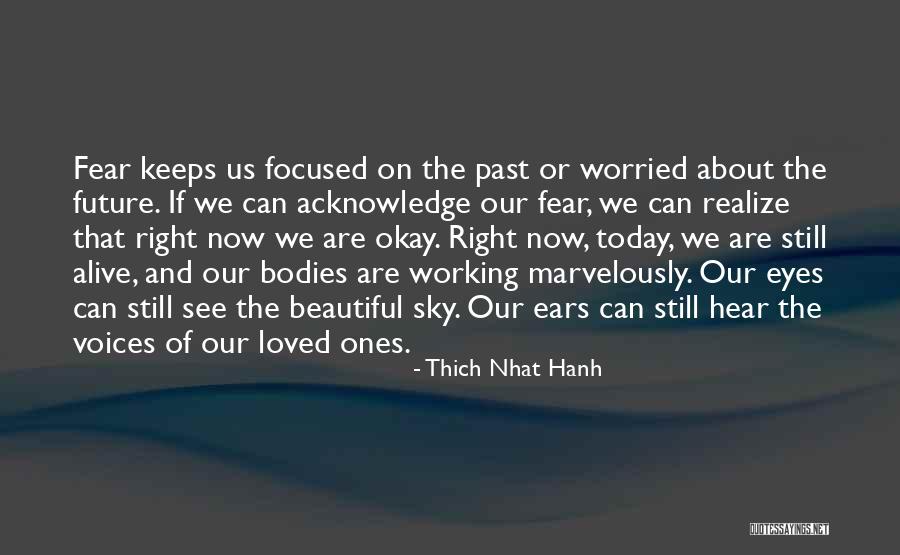 Future Focused Quotes By Thich Nhat Hanh