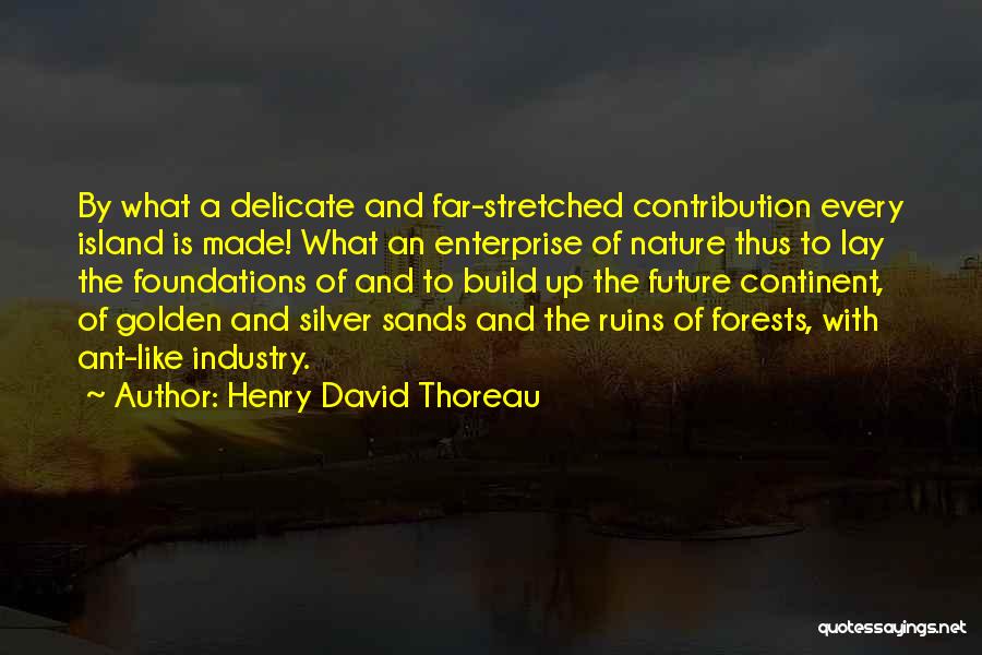 Future Islands Quotes By Henry David Thoreau