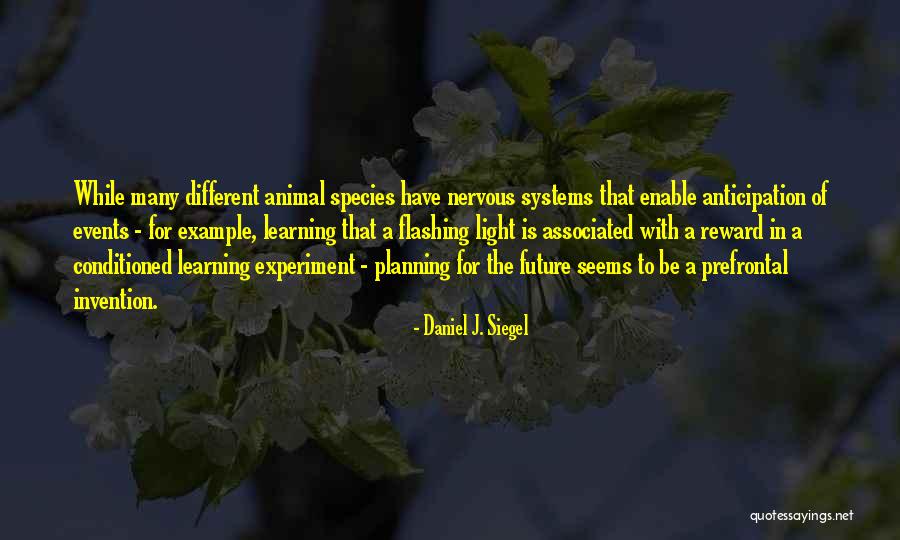 Future Learning Quotes By Daniel J. Siegel Future Learning Quotes By Daniel J. Siegel