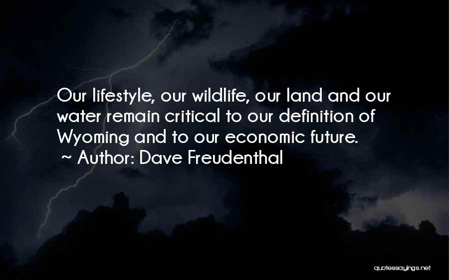 Future Lifestyle Quotes By Dave Freudenthal