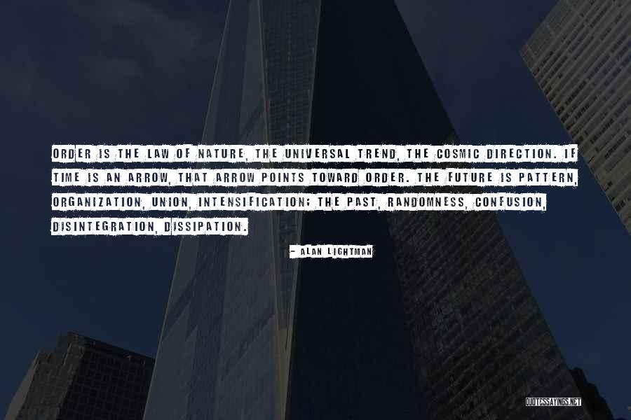 Future Of Organization Quotes By Alan Lightman Future Of Organization Quotes By Alan Lightman