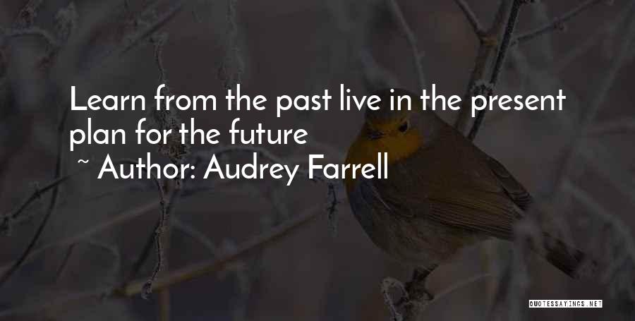 Future Plan Quotes By Audrey Farrell