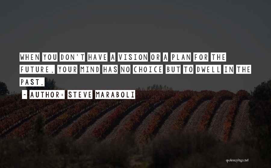 Future Plan Quotes By Steve Maraboli