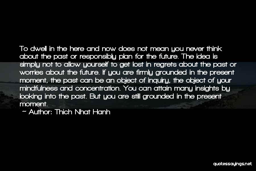 Future Plan Quotes By Thich Nhat Hanh