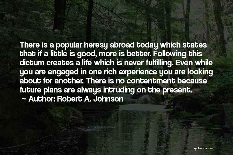 Future Plans In Life Quotes By Robert A. Johnson