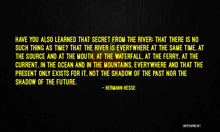 Future Source Quotes By Hermann Hesse