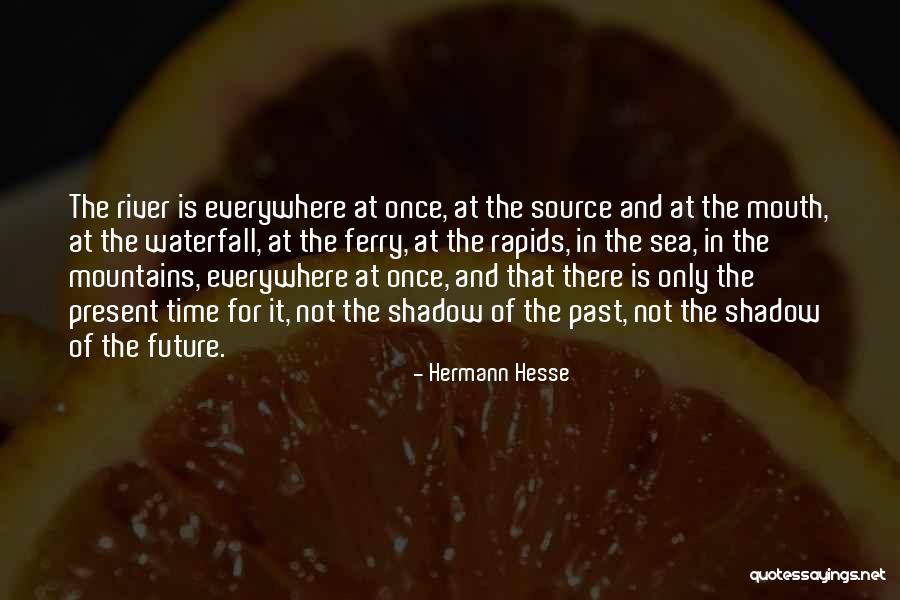 Future Source Quotes By Hermann Hesse