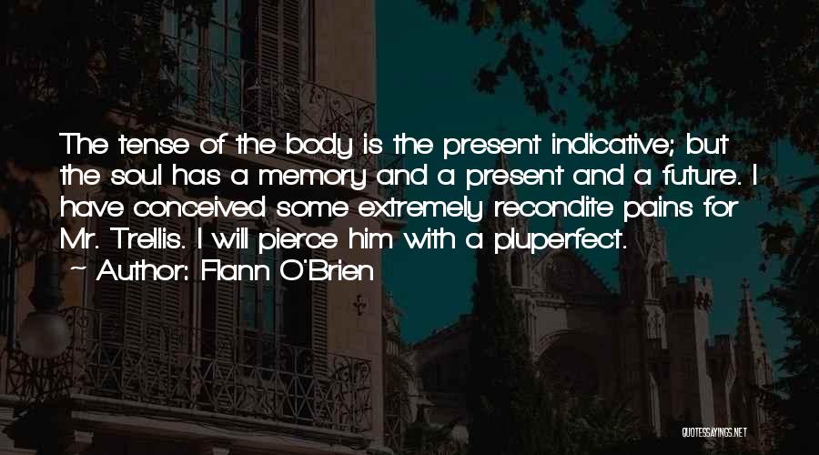 Future Tense Quotes By Flann O'Brien