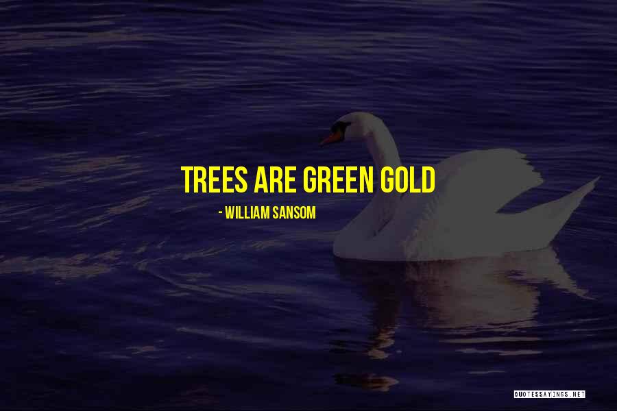 Future Voters Quotes By William Sansom Future Voters Quotes By William Sansom