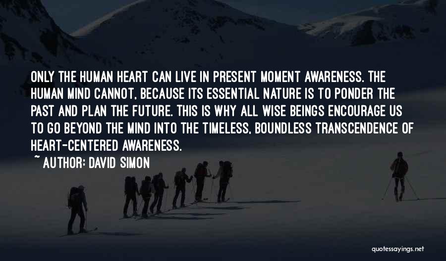 Future Wise Quotes By David Simon