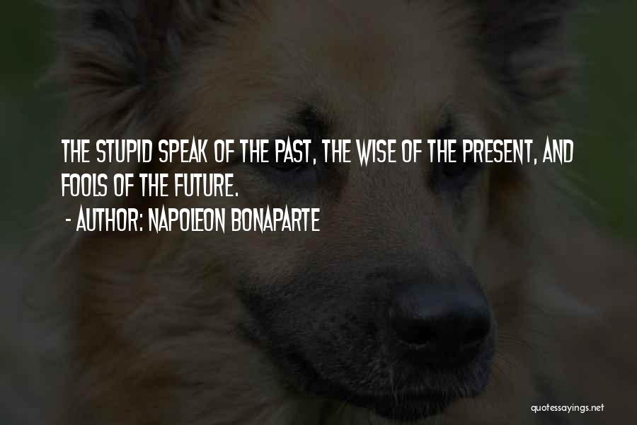 Future Wise Quotes By Napoleon Bonaparte