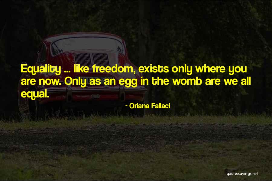 Futuro Braces Quotes By Oriana Fallaci Futuro Braces Quotes By Oriana Fallaci