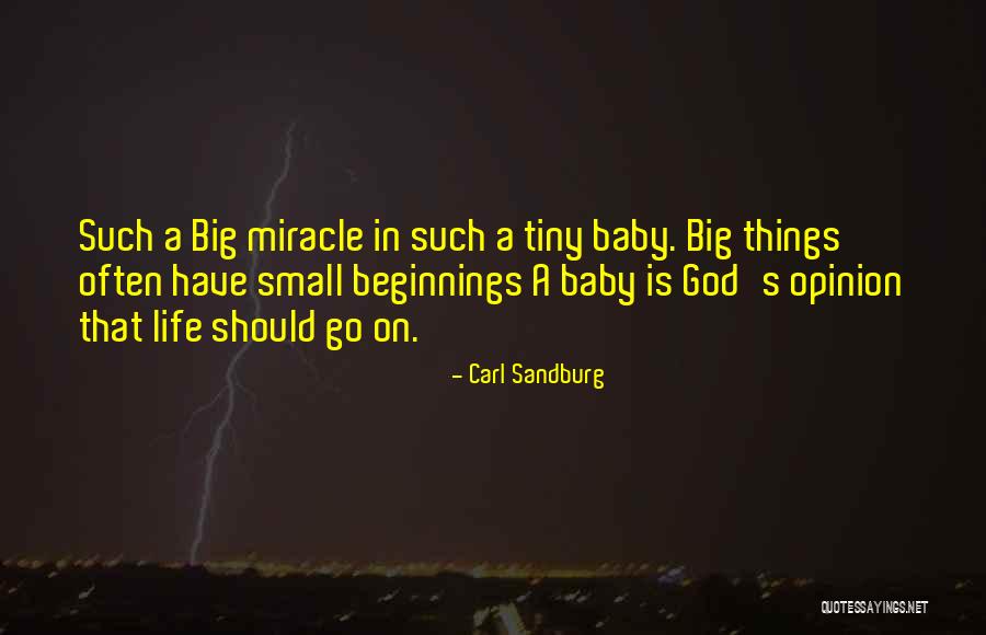 Fuzzball Dog Quotes By Carl Sandburg Fuzzball Dog Quotes By Carl Sandburg