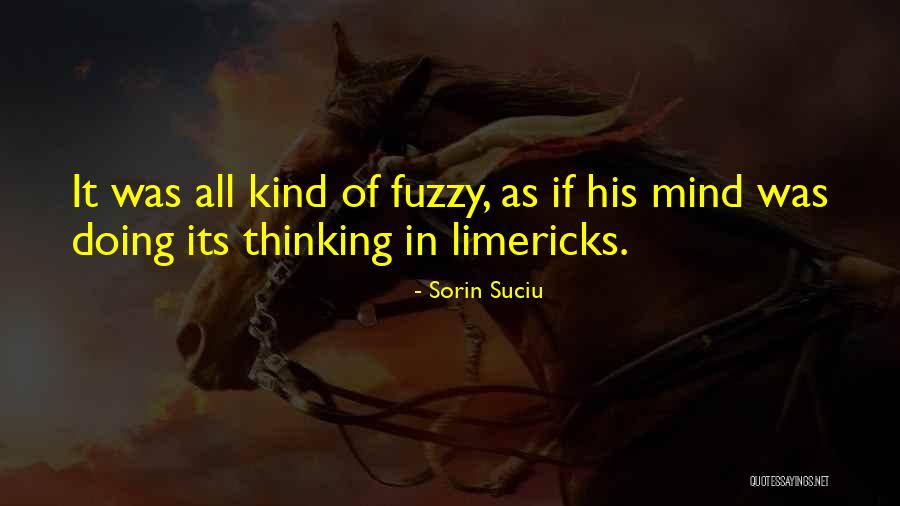 Fuzzy Quotes By Sorin Suciu