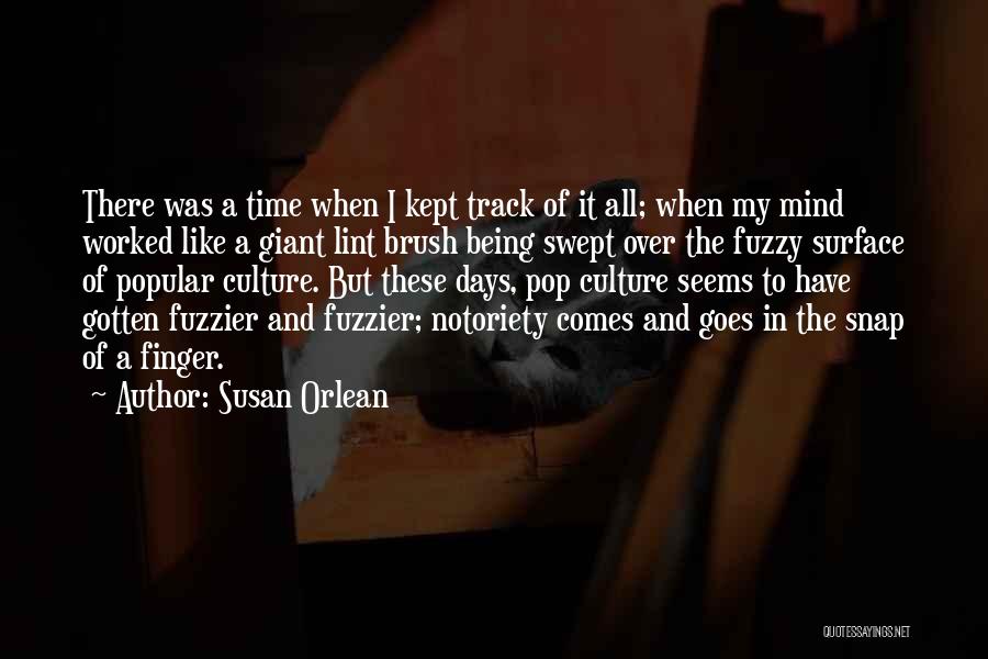 Fuzzy Quotes By Susan Orlean