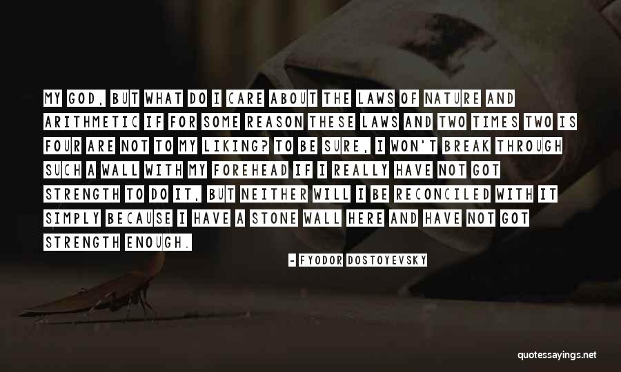 Fyodor Dostoyevsky Quotes 1196945 Fyodor Dostoyevsky Quotes 1196945