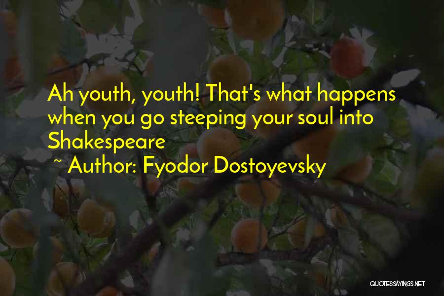 Fyodor Dostoyevsky Quotes 2212058