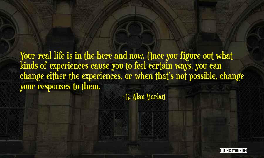 G. Alan Marlatt Quotes 2203021 G. Alan Marlatt Quotes 2203021