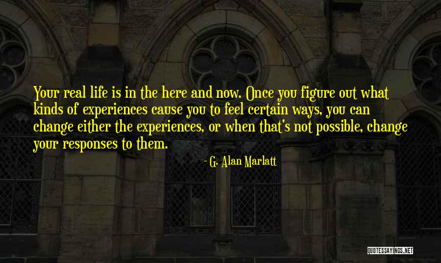 G. Alan Marlatt Quotes 2203021