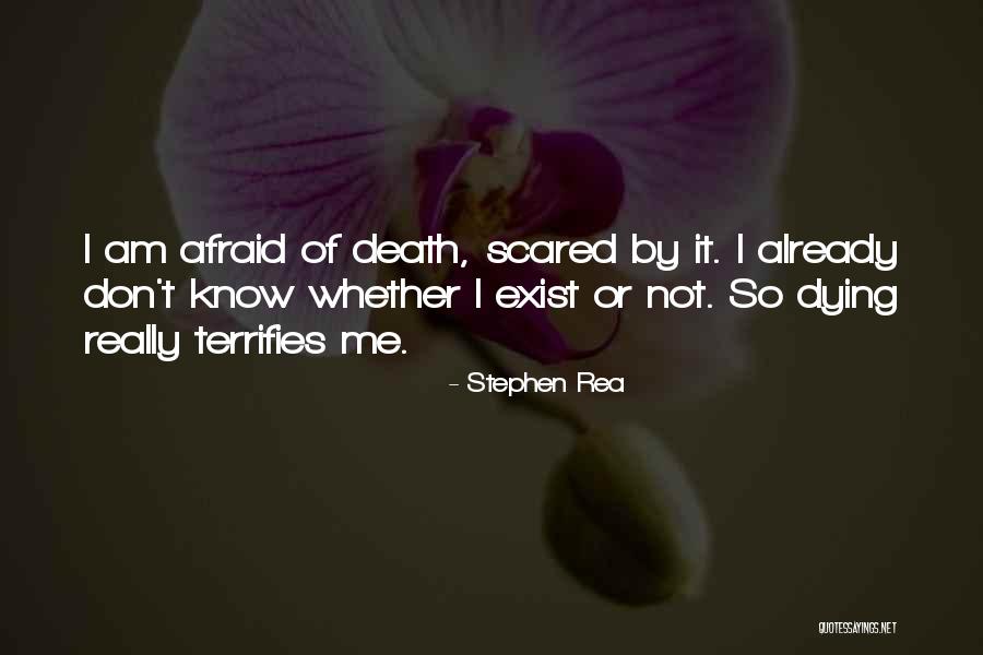 G Dert Immobilien Aschaffenburg Quotes By Stephen Rea G Dert Immobilien Aschaffenburg Quotes By Stephen Rea