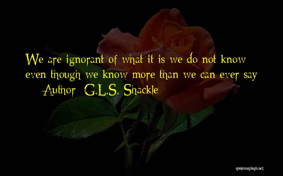 G.L.S. Shackle Quotes 1721824
