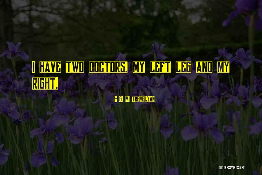 G. M. Trevelyan Quotes 1364131